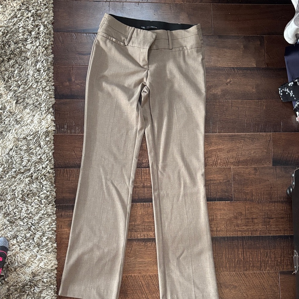Maurices dress Pants with Tan Interior